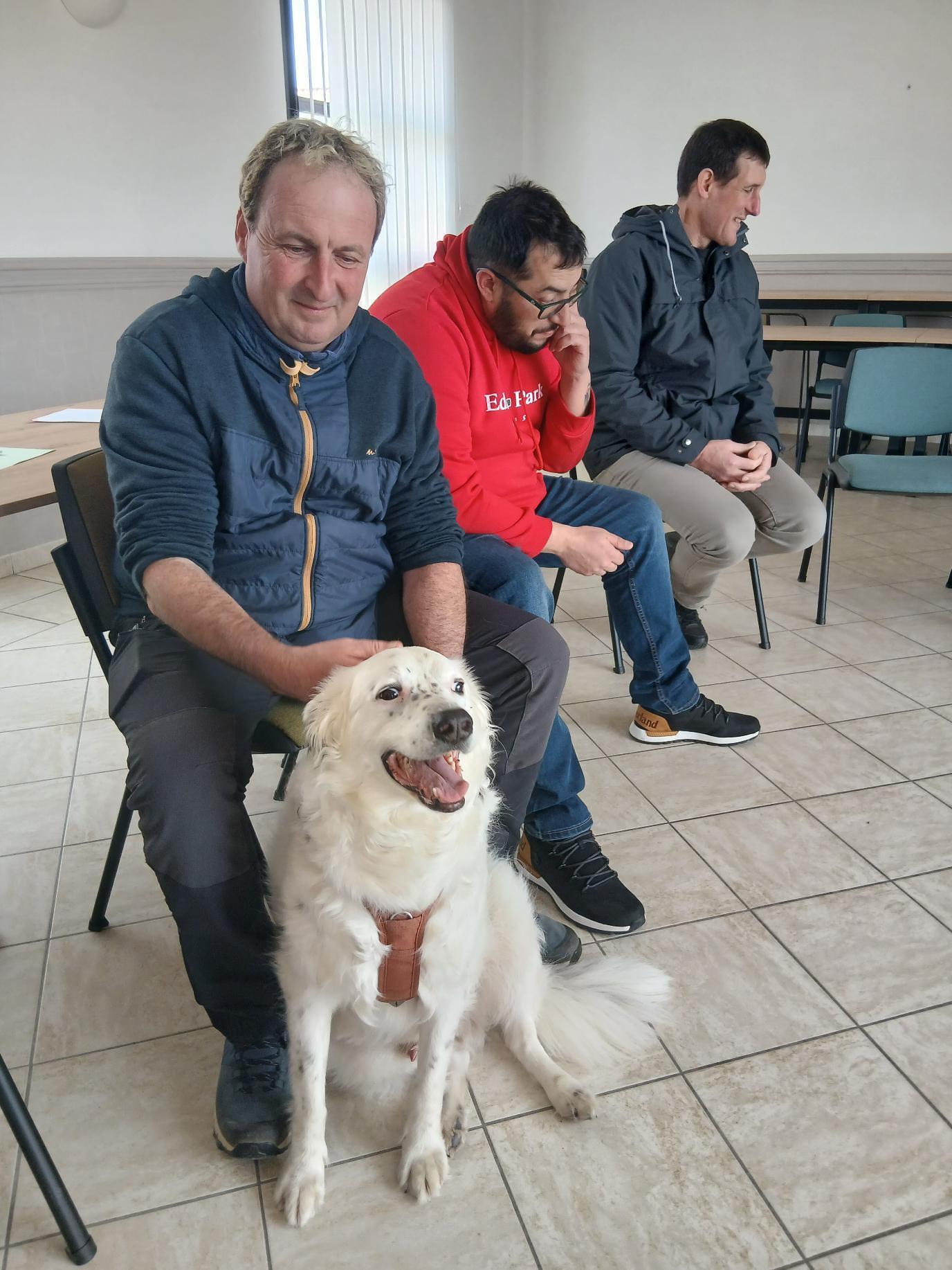 Appréhension_des_chiens_EURIAL-_24_