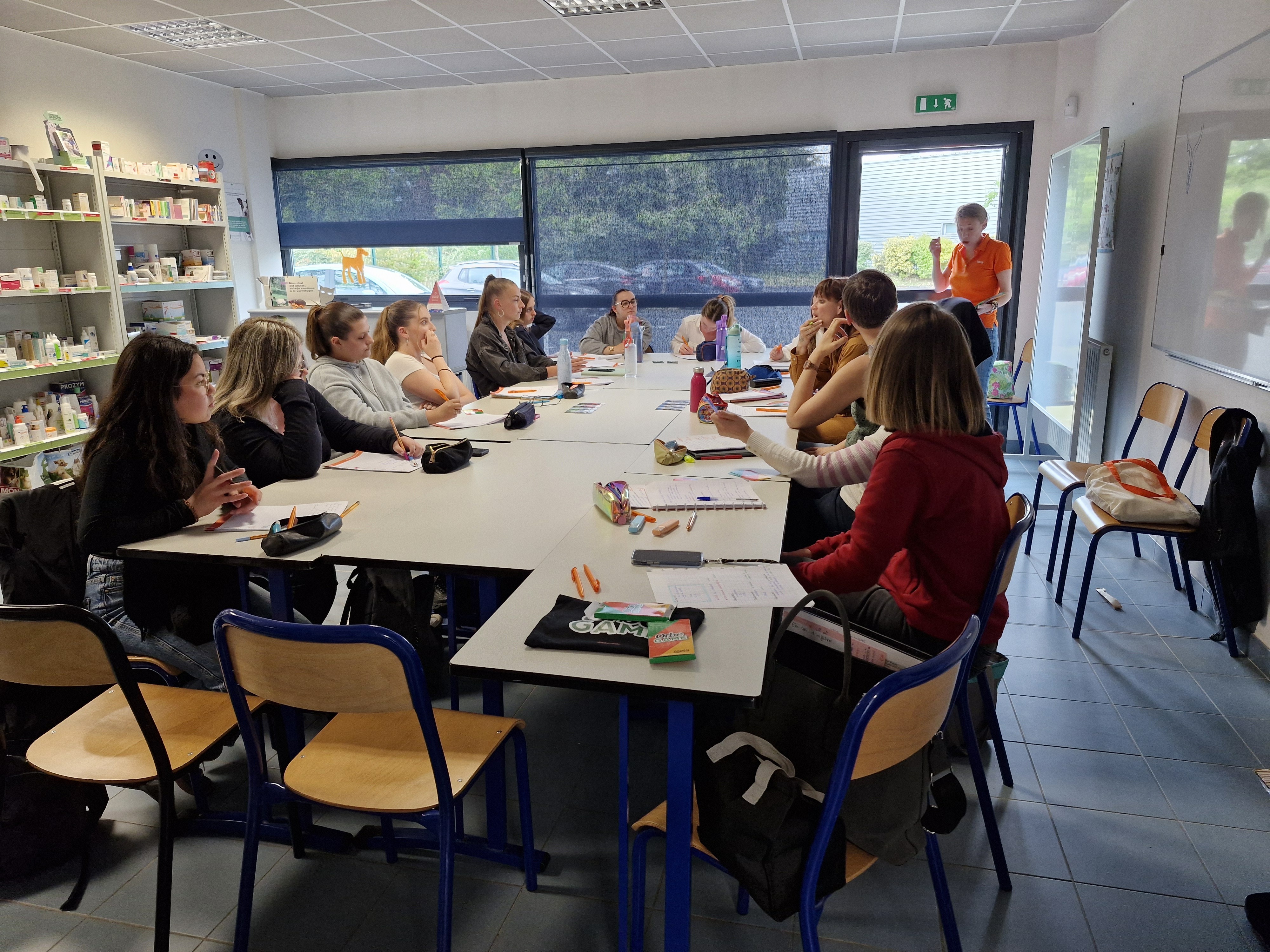 Auxiliaire en structure vétérinaire sup santé animale