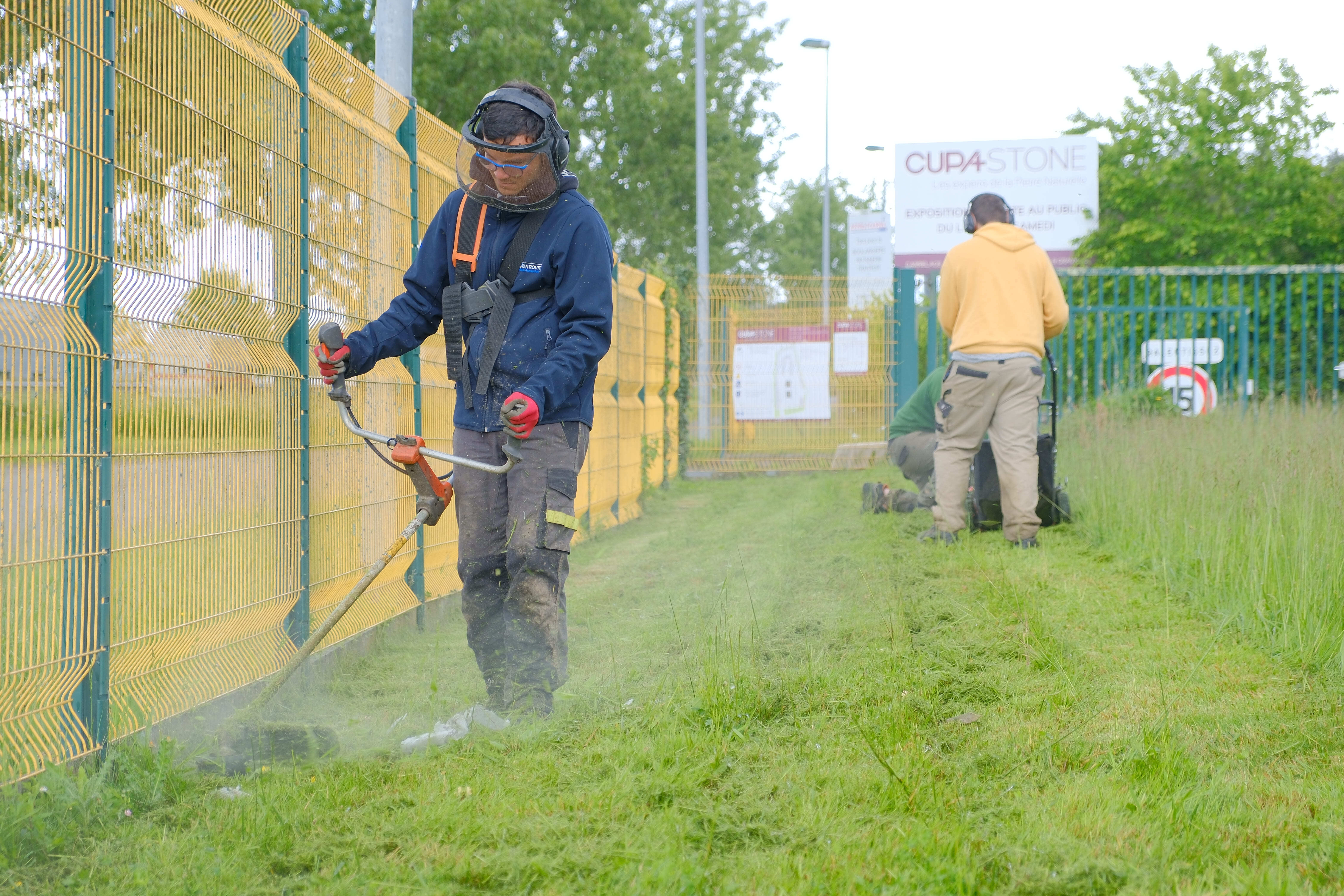 CAP Jardinier Paysagiste