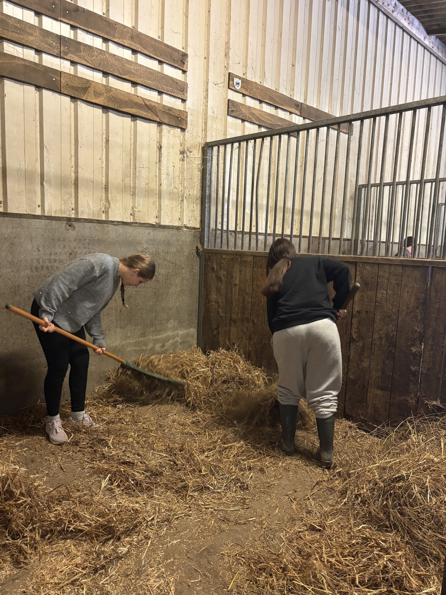 CGEA Equin lycée Établières