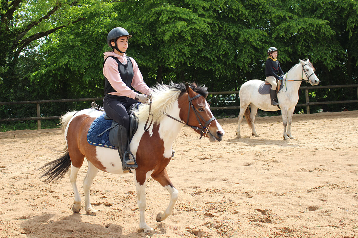 safari centre equestre