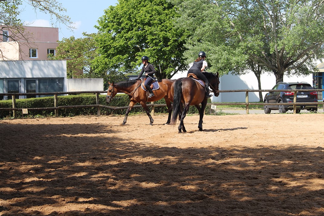 etablieres_centreequestre_actu_bienetre_equin-03