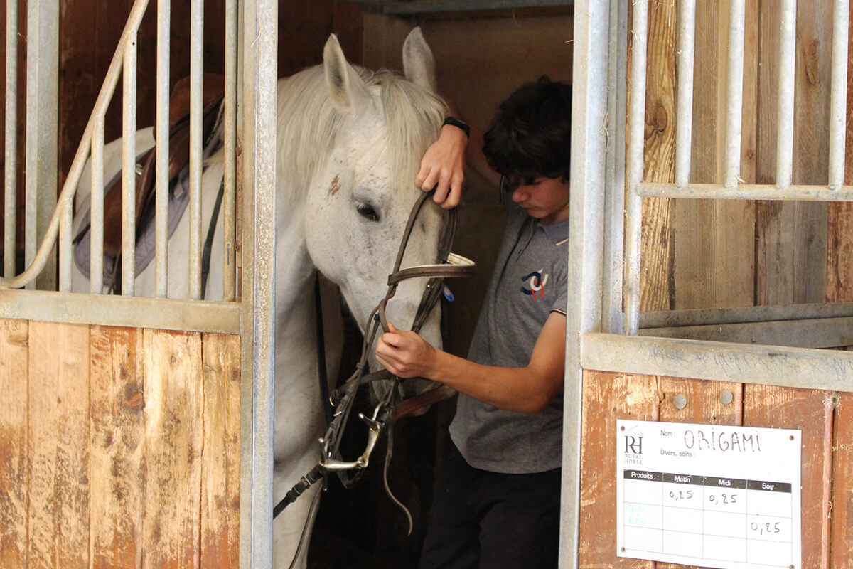 etablieres_centreequestre_actu_equipement_protection-03