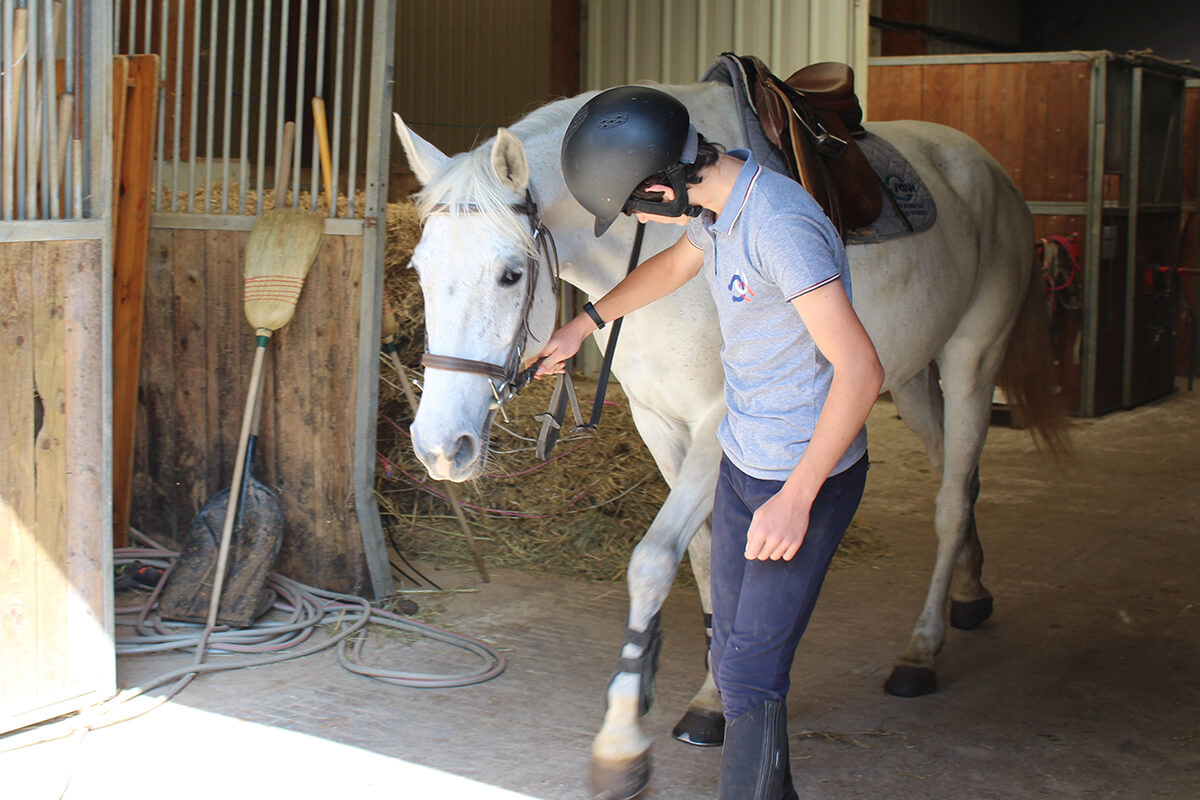 etablieres_centreequestre_actu_equipement_protection-05