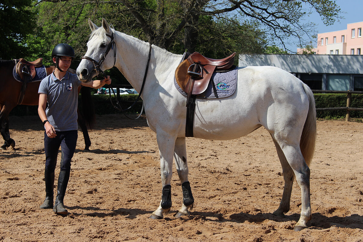 etablieres_formation_lycee_baccgea_equin 04