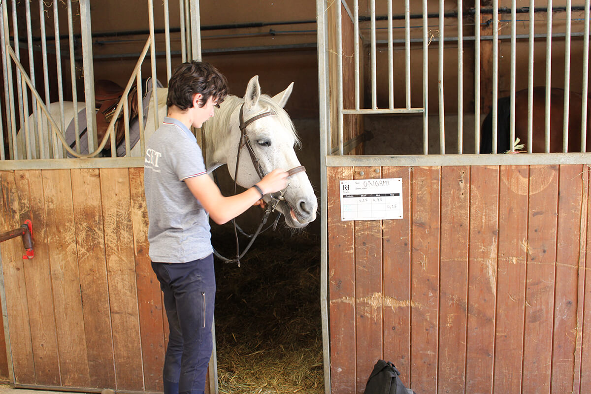 etablieres_formation_lycee_option_hippologie 1