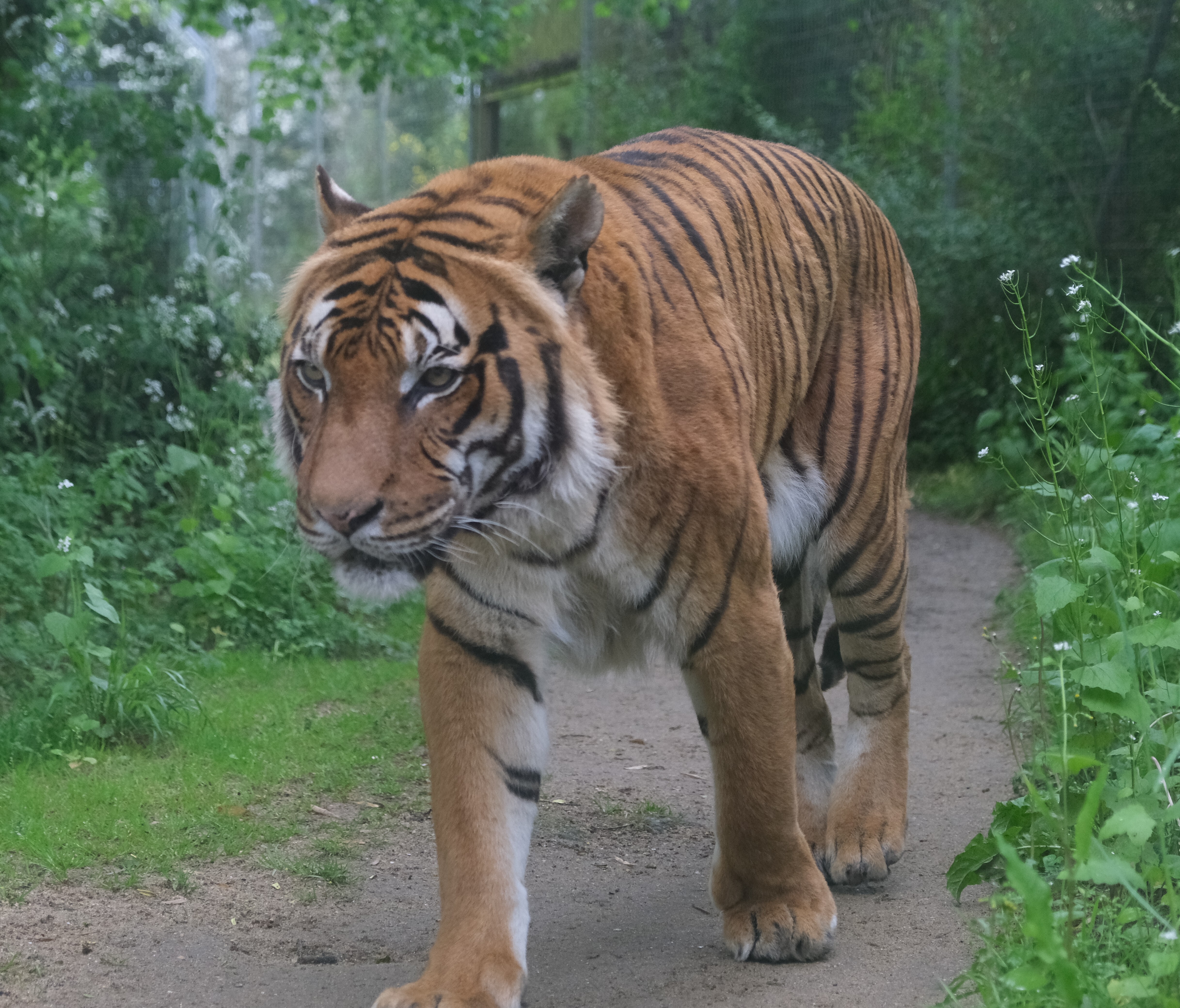etablieres_formation_soigneuranimalier 7.JPG