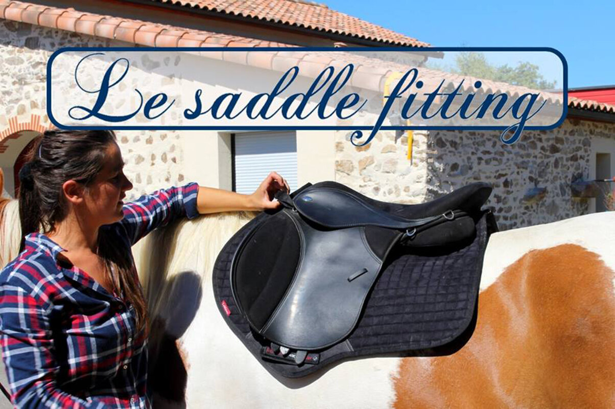 etablieres_formation_saddlefitter 2
