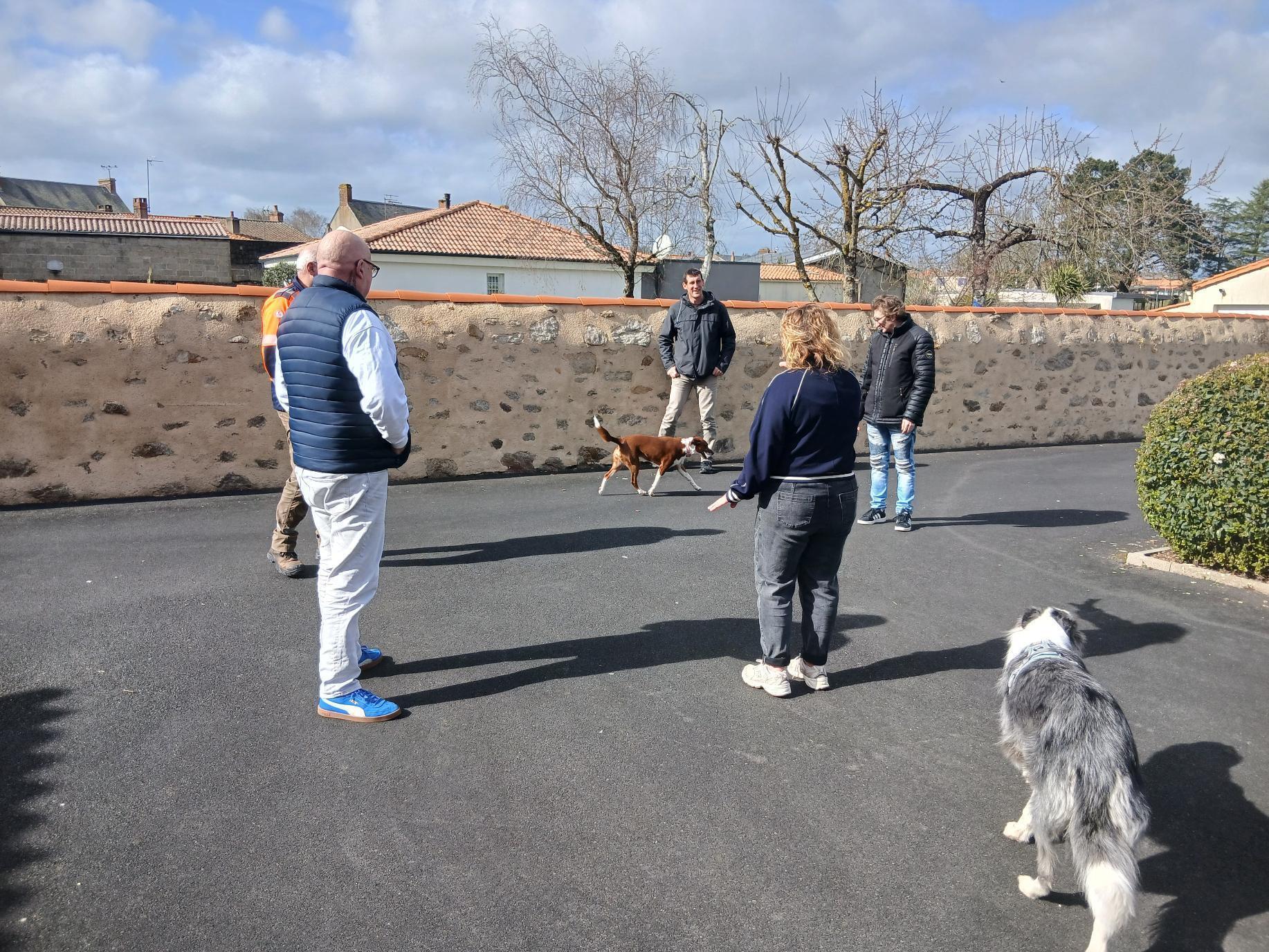 formation courte appréhension des chiens