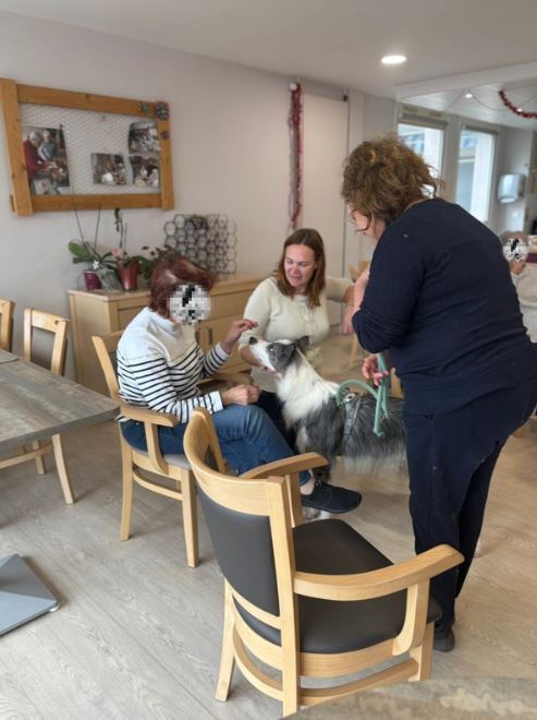 formation éducateur comportementaliste canin félin et NAC