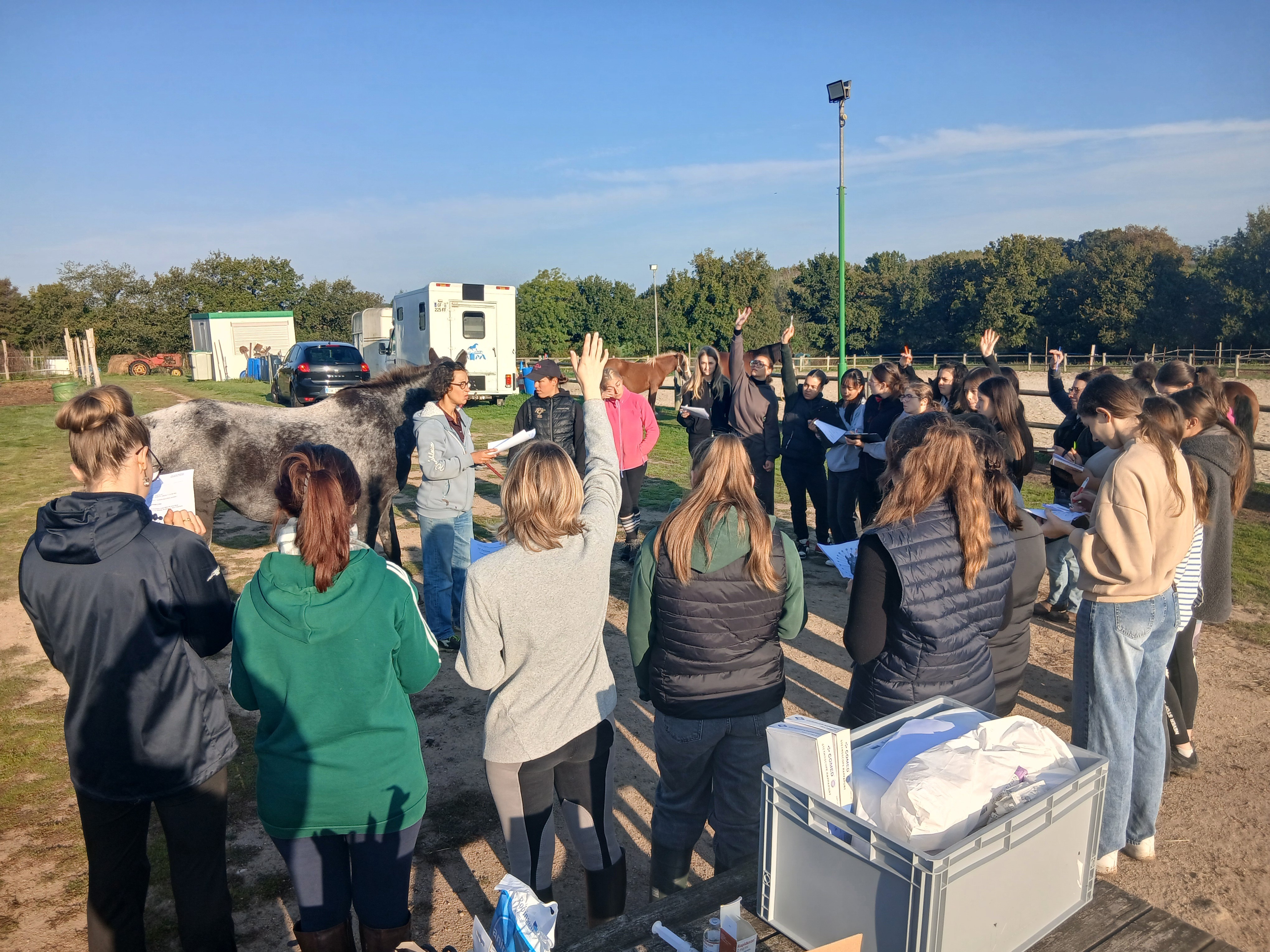 formation métiers animaux compagnie établières
