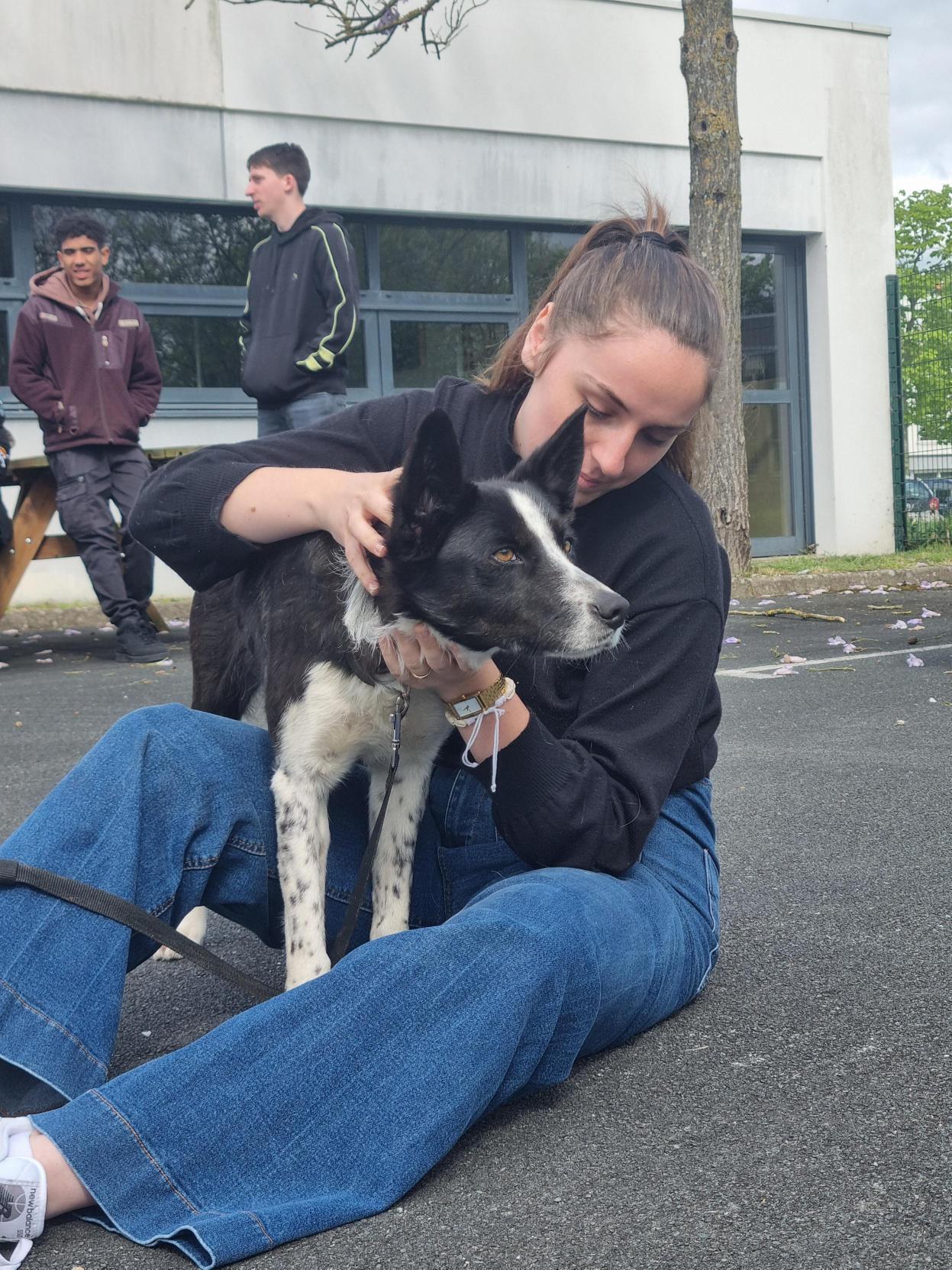 formation responsable en structure animalière sup sante animale