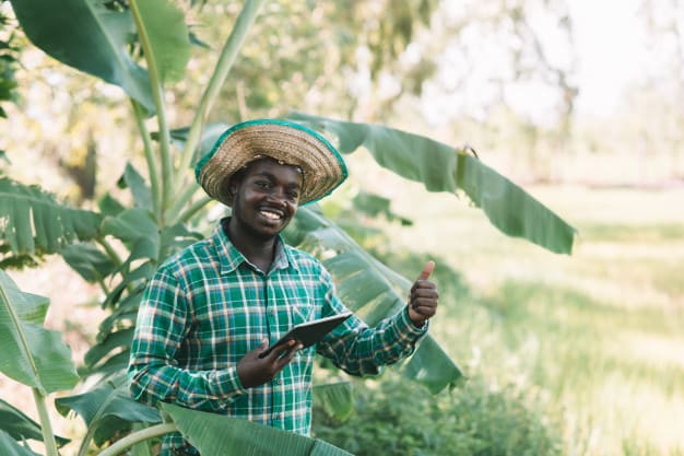 homme-agriculteur-africain-recherche-tablette-ferme-biologique_73622-966