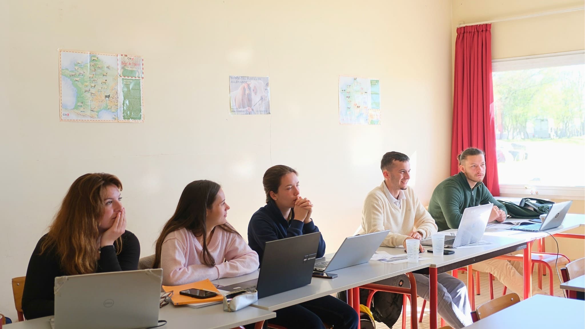 lp management des organisations agricoles