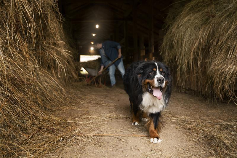 man-working-with-pitchfork-full-shot 1