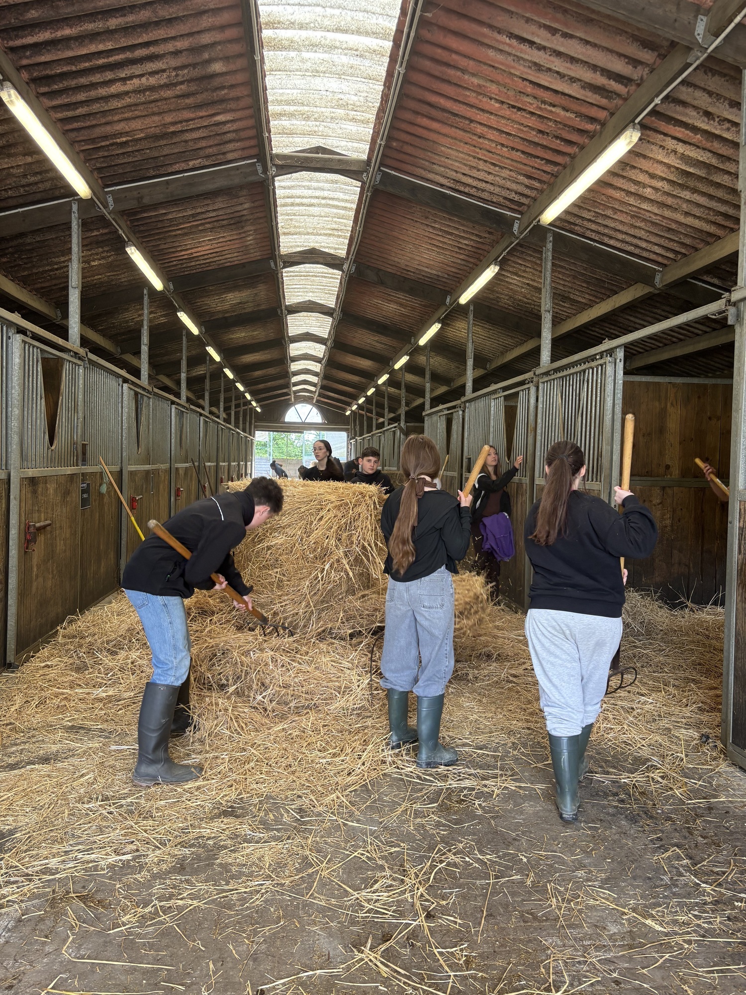 option hippologie équitation lycée des établières
