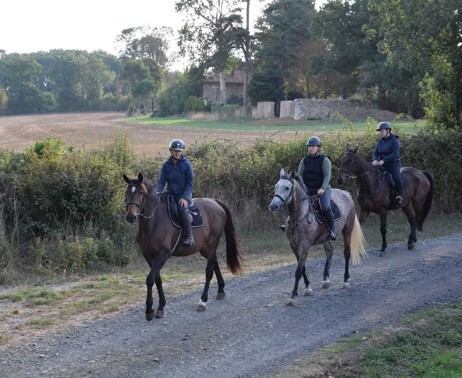 option hippologie équitation lycée établières