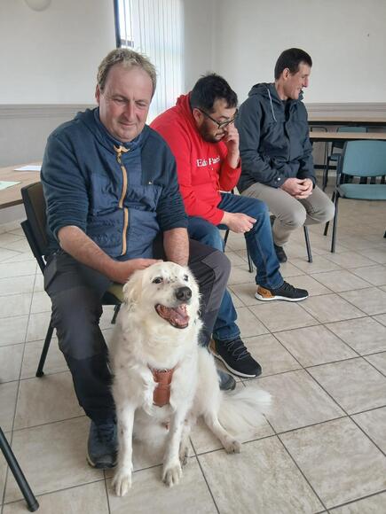 formation appréhension des chiens